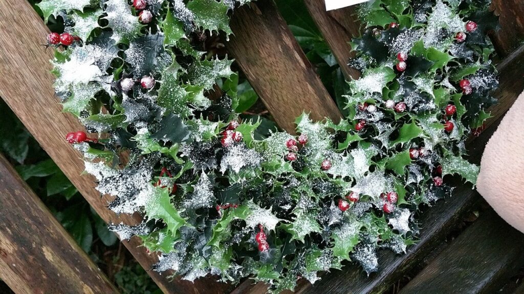 Christmas wreath with snow